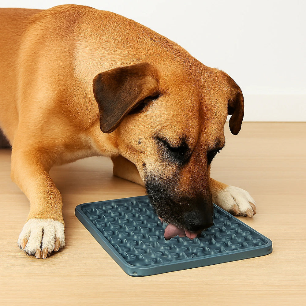 Calming lick pad

