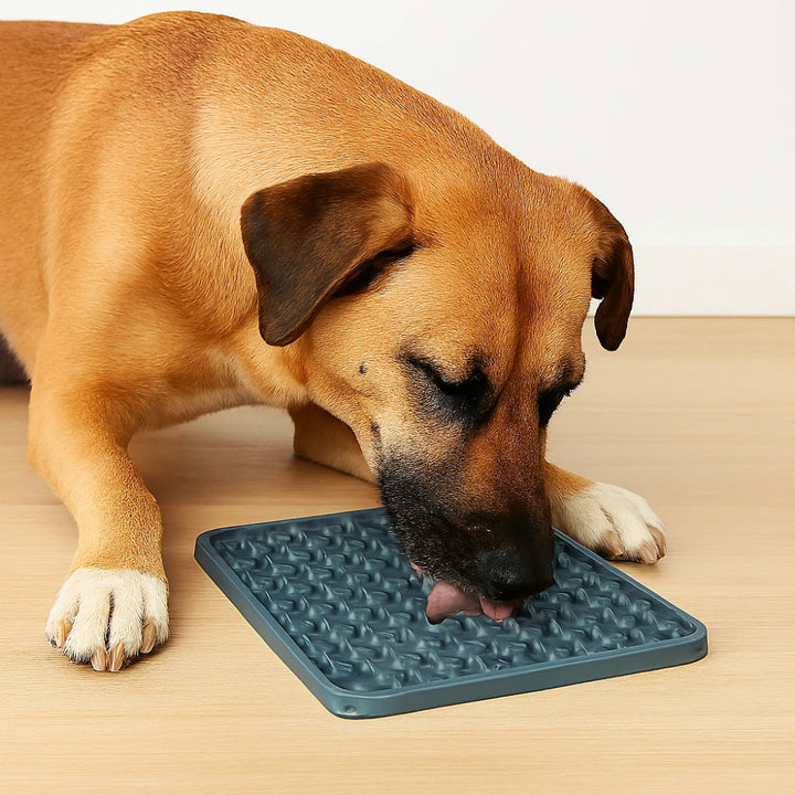 Calming lick pad

