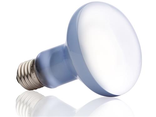 EXO TERRA Sun Glo Basking Light 100W - PetWorld