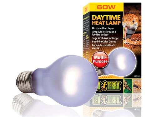 EXO TERRA DAYTIME HEAT LAMP 60W