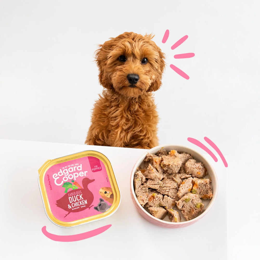 Edgard Cooper Puppy Dog Food Duck and Chicken 150g