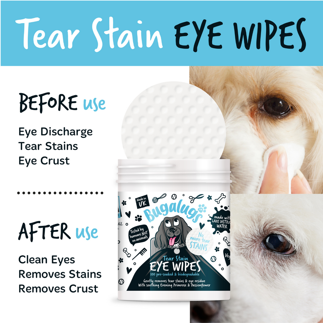Bugalugs Tear Stain Eye Wipes before and after use on a dog's eye
