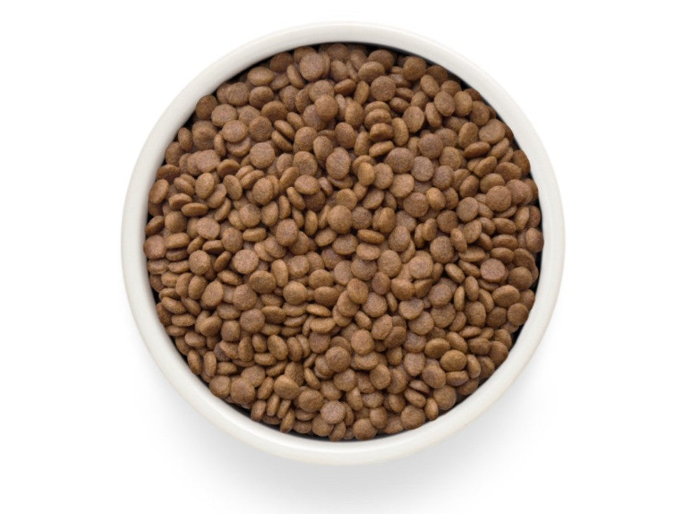 Grandorf Grain Free Fresh Duck For Adult Cats 400g