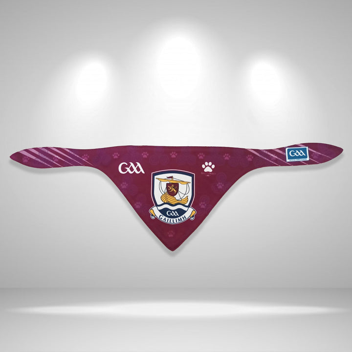 Galway GAA Pet Bandana