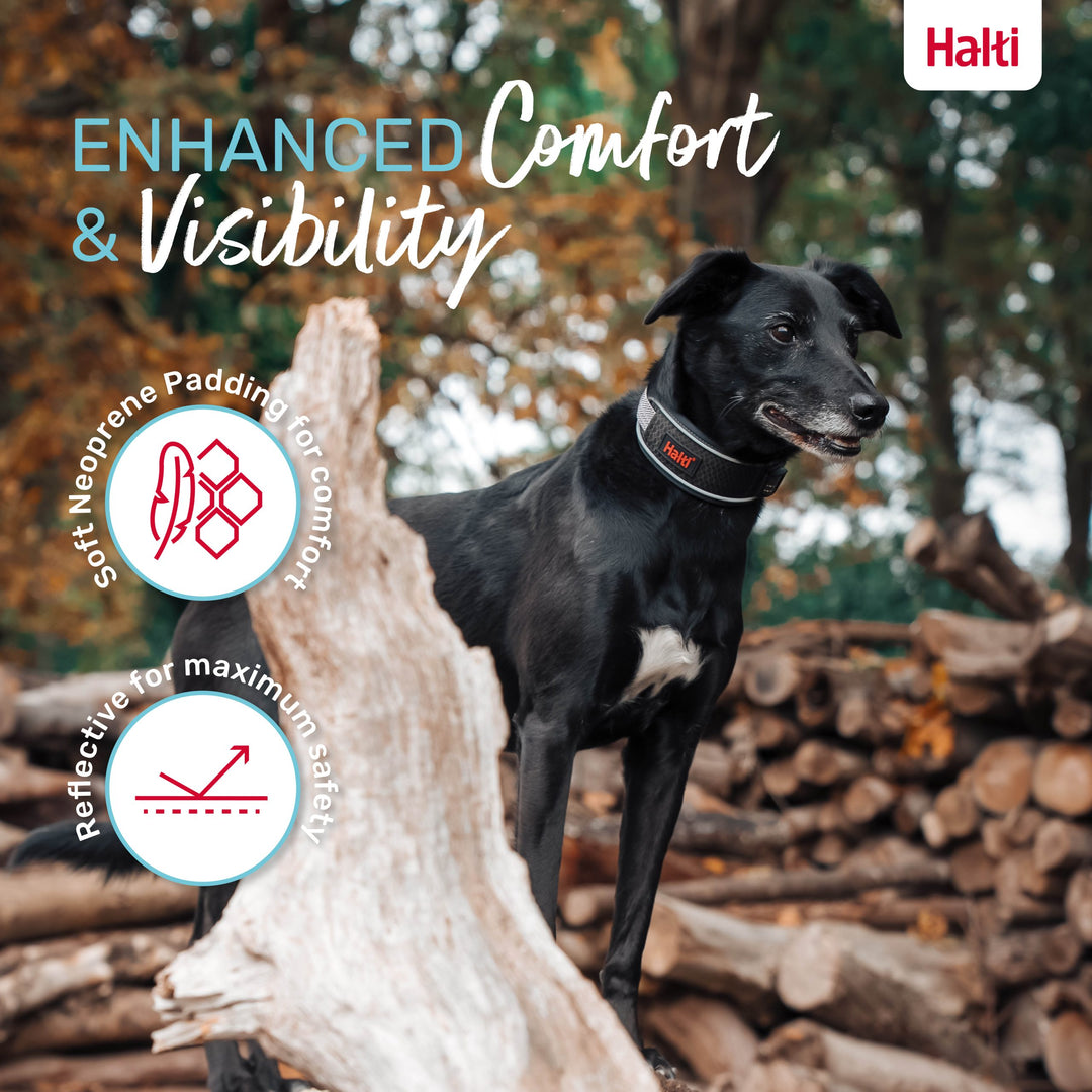 Halti Anatomy Dog Collar