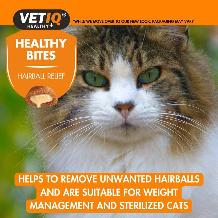 Long haired cat: VetIQ Healthy Bites Hairball Relief, suitable for weight management and sterilised cats