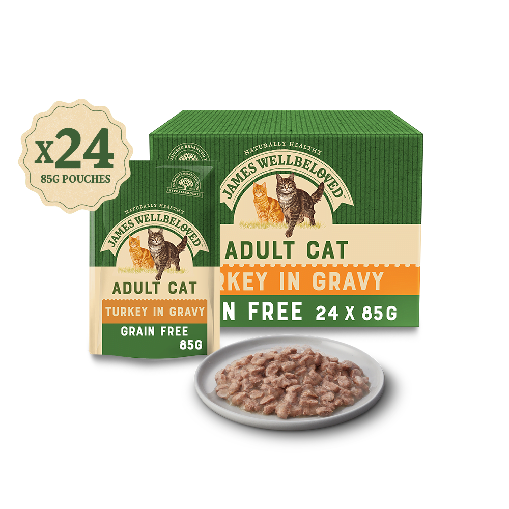 GRAIN FREE ADULT TURKEY IN GRAVY WET CAT FOOD POUCH