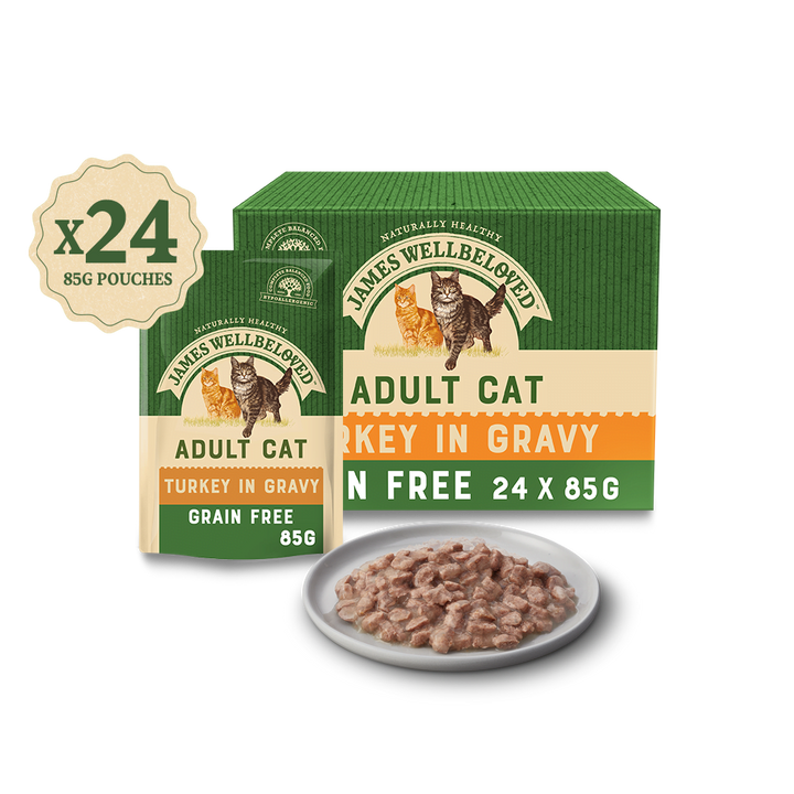 GRAIN FREE ADULT TURKEY IN GRAVY WET CAT FOOD POUCH