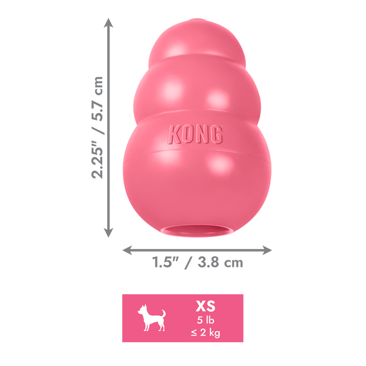 KONG Puppy