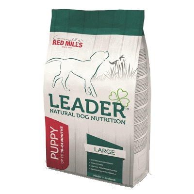 Leader Puppy Large Breed