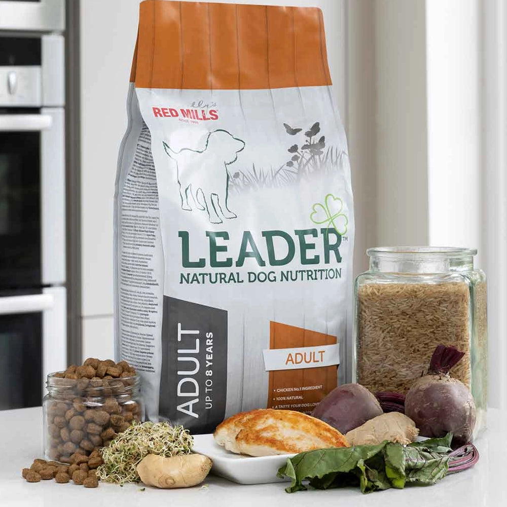 Leader Adult Chicken & Rice Medium Breed Dog Food