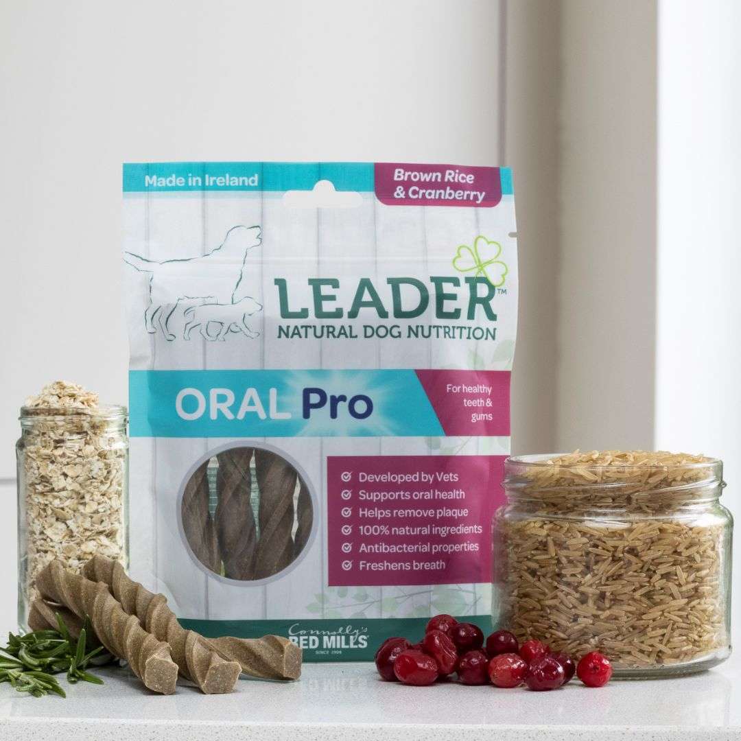 Leader Oral Pro Dental Sticks Brown Rice & Cranberry 130g pack with spiral dental sticks, oats, brown rice and cranberries