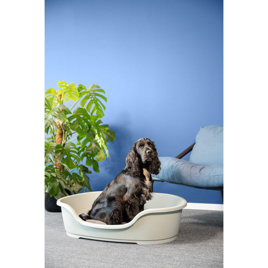 Spaniel sitting in a Moderna Domus plastic dog bed at home
