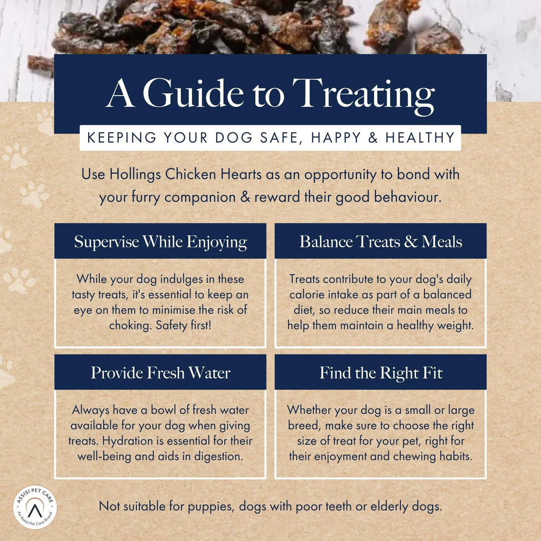 Hollings Chicken Hearts 60g
