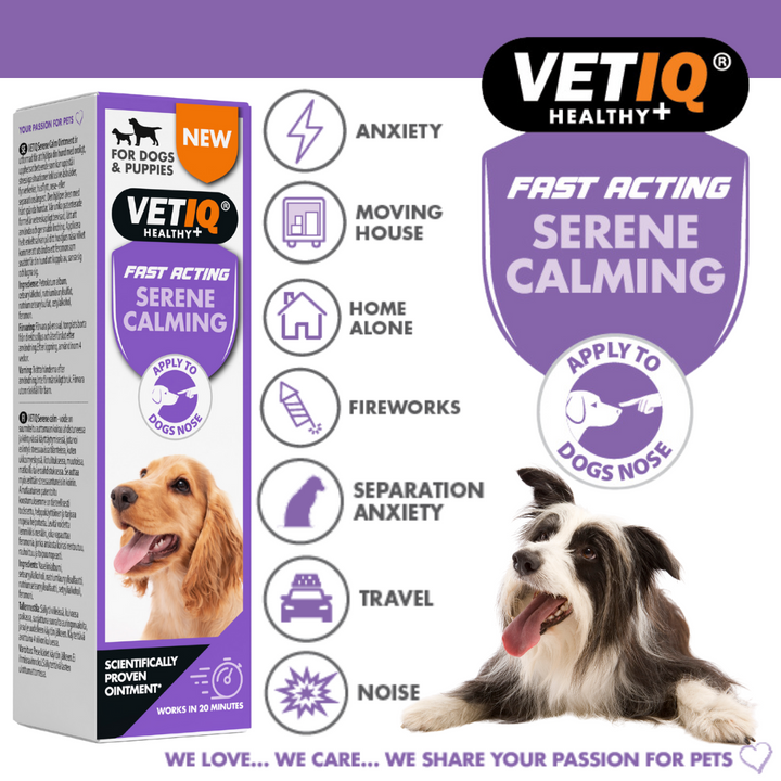 VetIQ Serene Calming fast acting ointment for dogs, apply to dog's nose: for anxiety, fireworks, travel, noise and separation