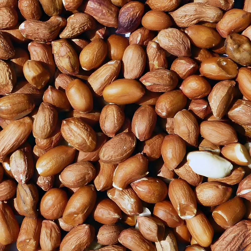 Close-up of a pile of wild bird peanuts.