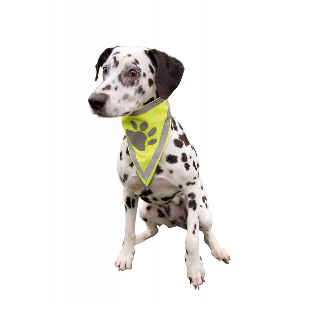 Dog Safety Neckerchief.