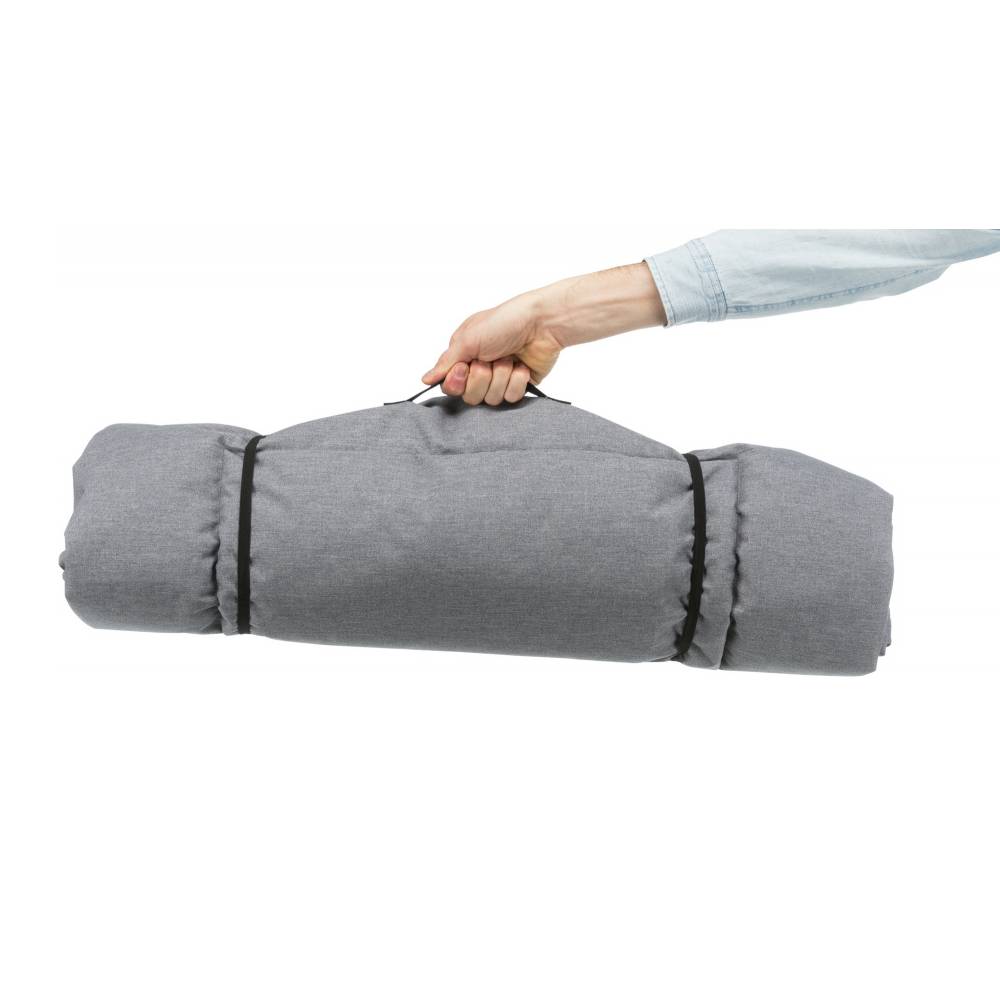 tommy dog travel blanket