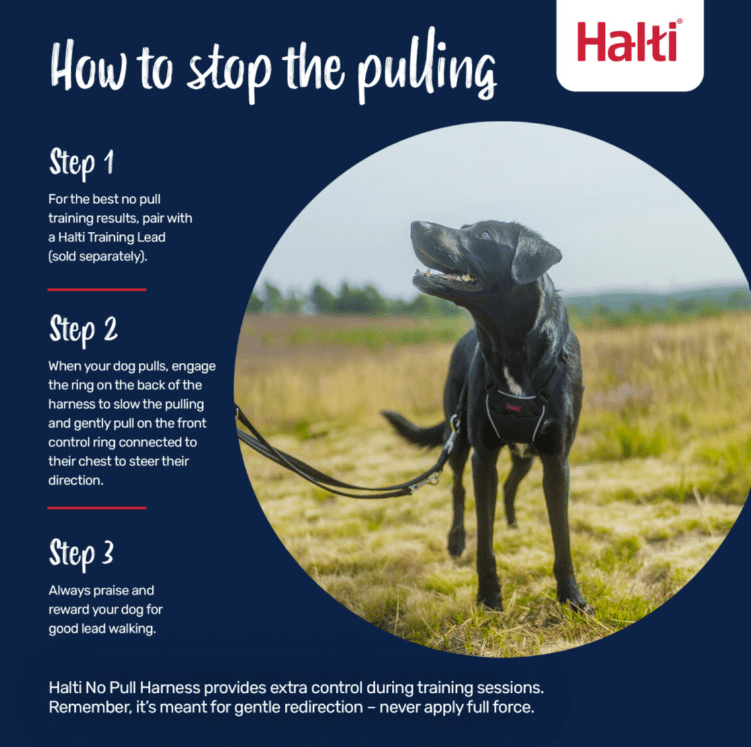Halti No Pull Dog Harness Medium