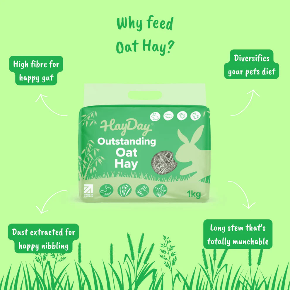 Outstanding Oat Hay 1kg