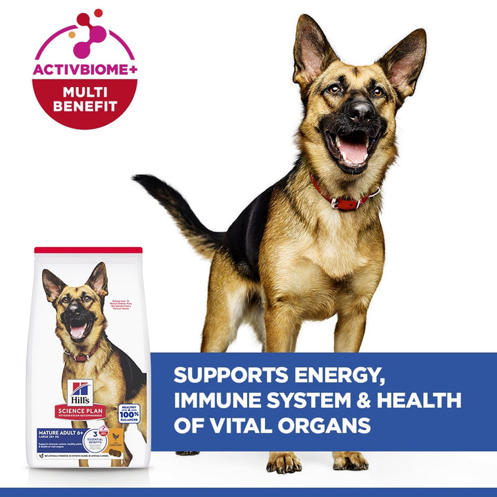 Hill's Science Plan Large Breed Mature Adult 6+ with ActivBiome+ Multi Benefit for energy, immune system and vital organs