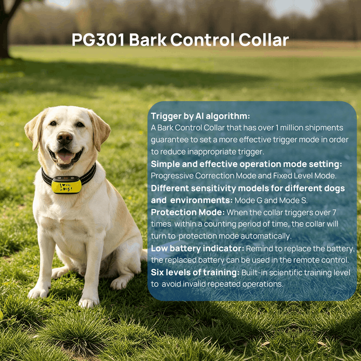 PawGuard Stop Bark Collar worn by a Labrador, with key features listed