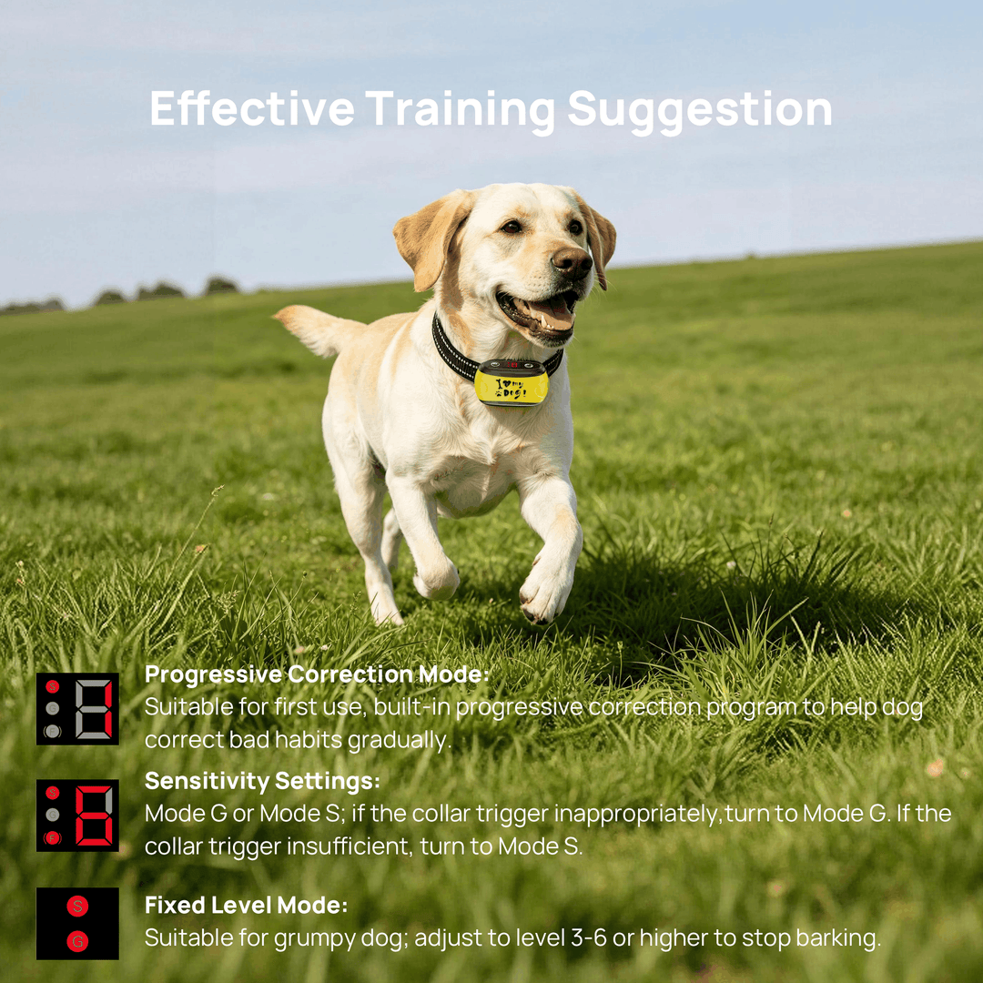 PawGuard Stop Bark Collar training suggestion: progressive, sensitivity and fixed level modes