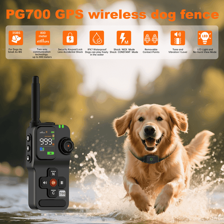 PawGuard 700 GPS wireless dog fence handheld transmitter, with a dog wearing the collar running through water