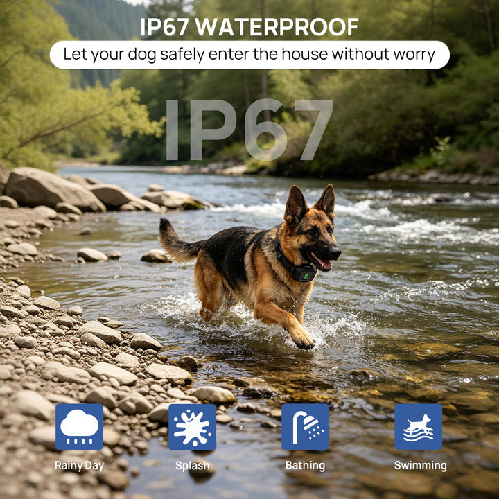 PawGuard PG860 GPS dog fence with app, black collar strap