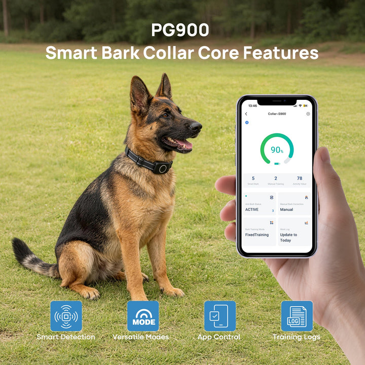 Dog wearing PawGuard PG900 smart anti bark collar