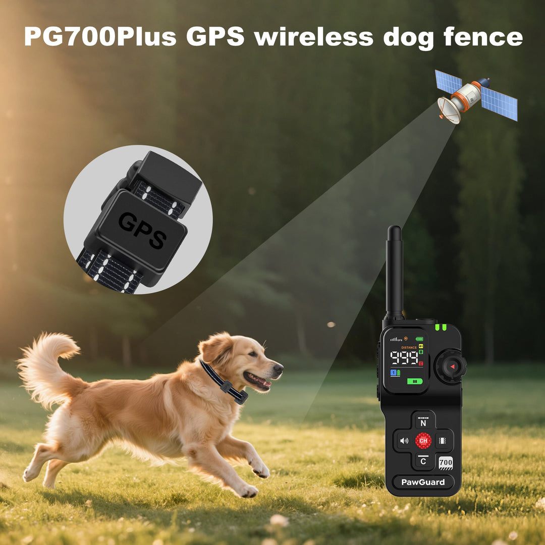 Pawguard 700 Plus GPS Wireless Dog Fence