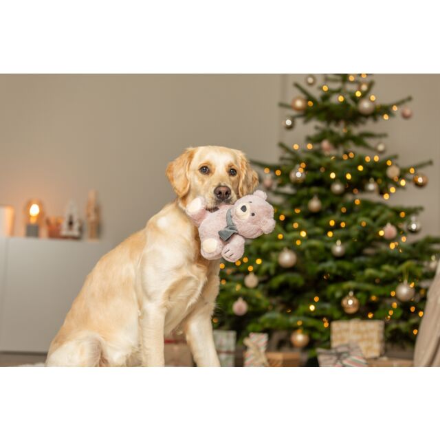 Trixie Christmas Teddy Plush Dog Toy 19cm