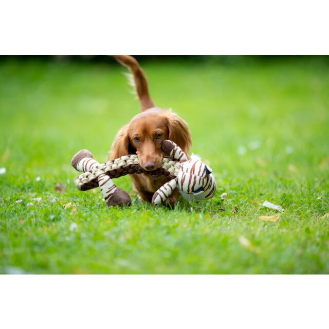 Trixie Tiger Plush Dog Toy 32cm