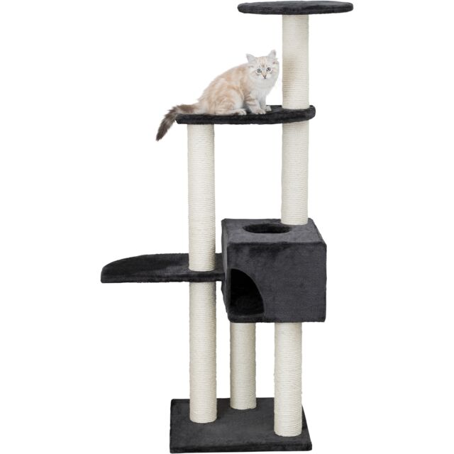 Trixie Alicante cat tree 142cm in anthracite with cave, platforms and jute scratching posts, cat sitting on a platform