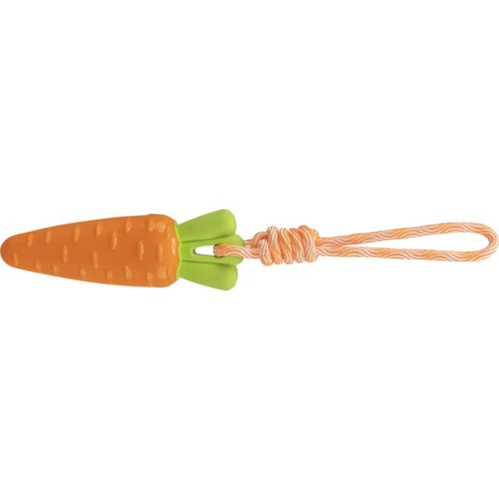Carrot on a rope dog toy
