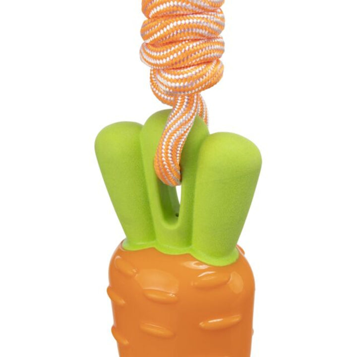Carrot on a rope dog toy