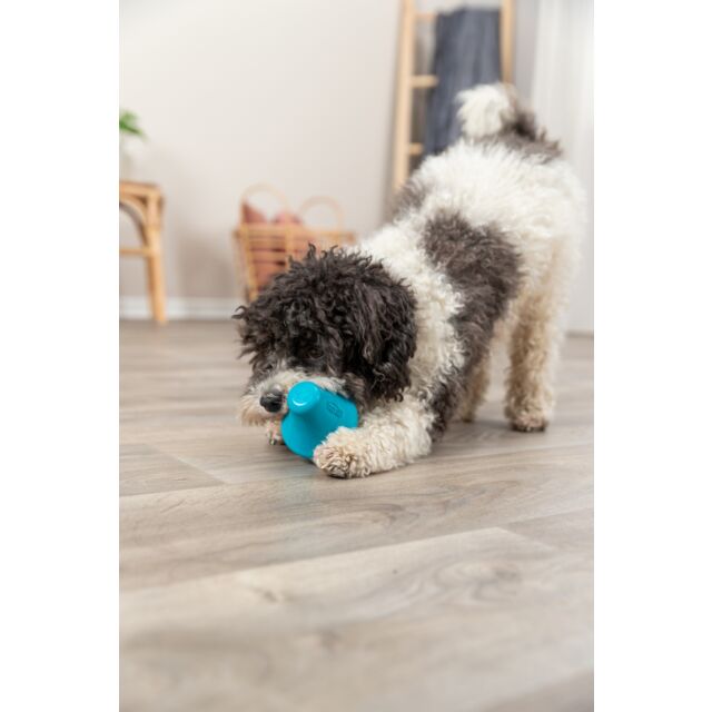 Trixie Dog Snack Spinner 12cm Petrol