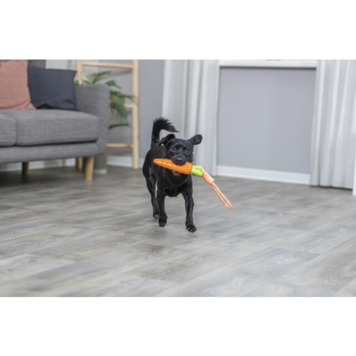Carrot on a rope dog toy