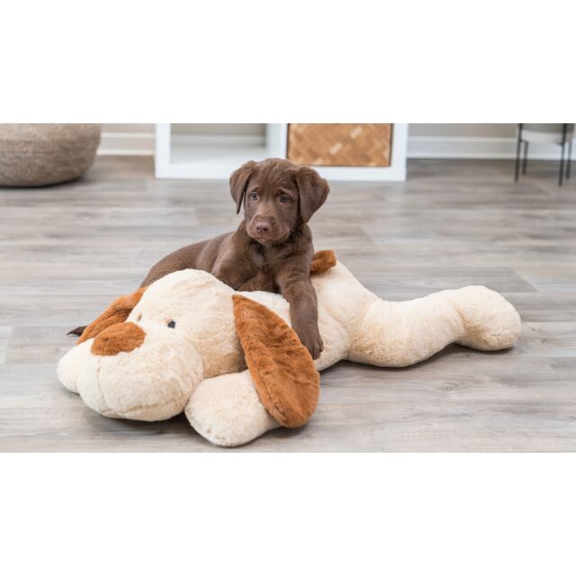 Chocolate Labrador puppy lying on the Trixie Cuddle Dog Benny plush toy