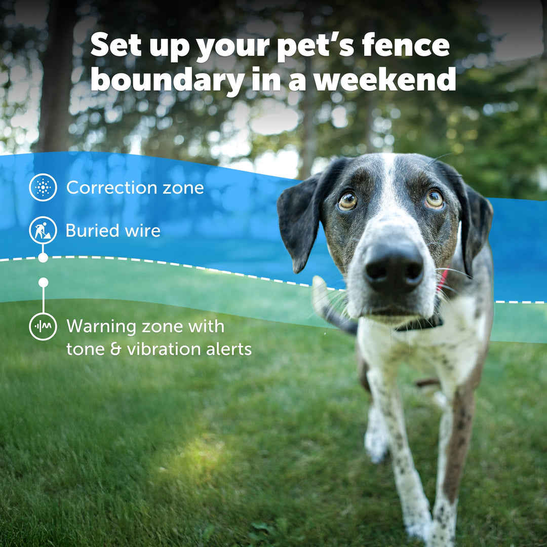 PetSafe in-ground fence boundary diagram: correction zone, buried wire and tone and vibration warning zone