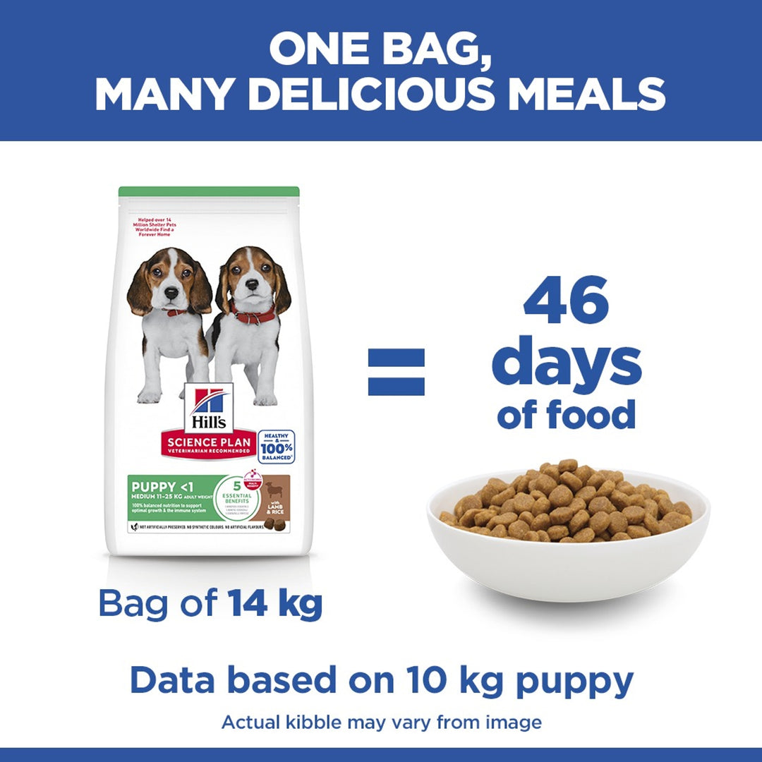 Hill's Science Plan Puppy Medium Lamb & Rice 14kg bag gives 46 days of food for a 10kg puppy