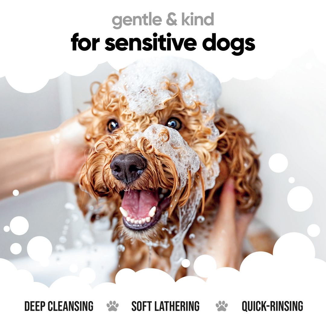 Dog being washed with Buddycare Derma Sensitive Shampoo: deep cleansing, soft lathering, quick rinsing