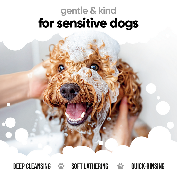 Dog being washed with Buddycare Derma Sensitive Shampoo: deep cleansing, soft lathering, quick rinsing