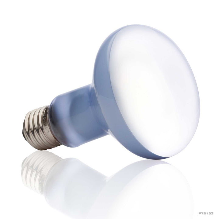 Exo Terra Daylight Basking Spot 100W Neodymium bulb