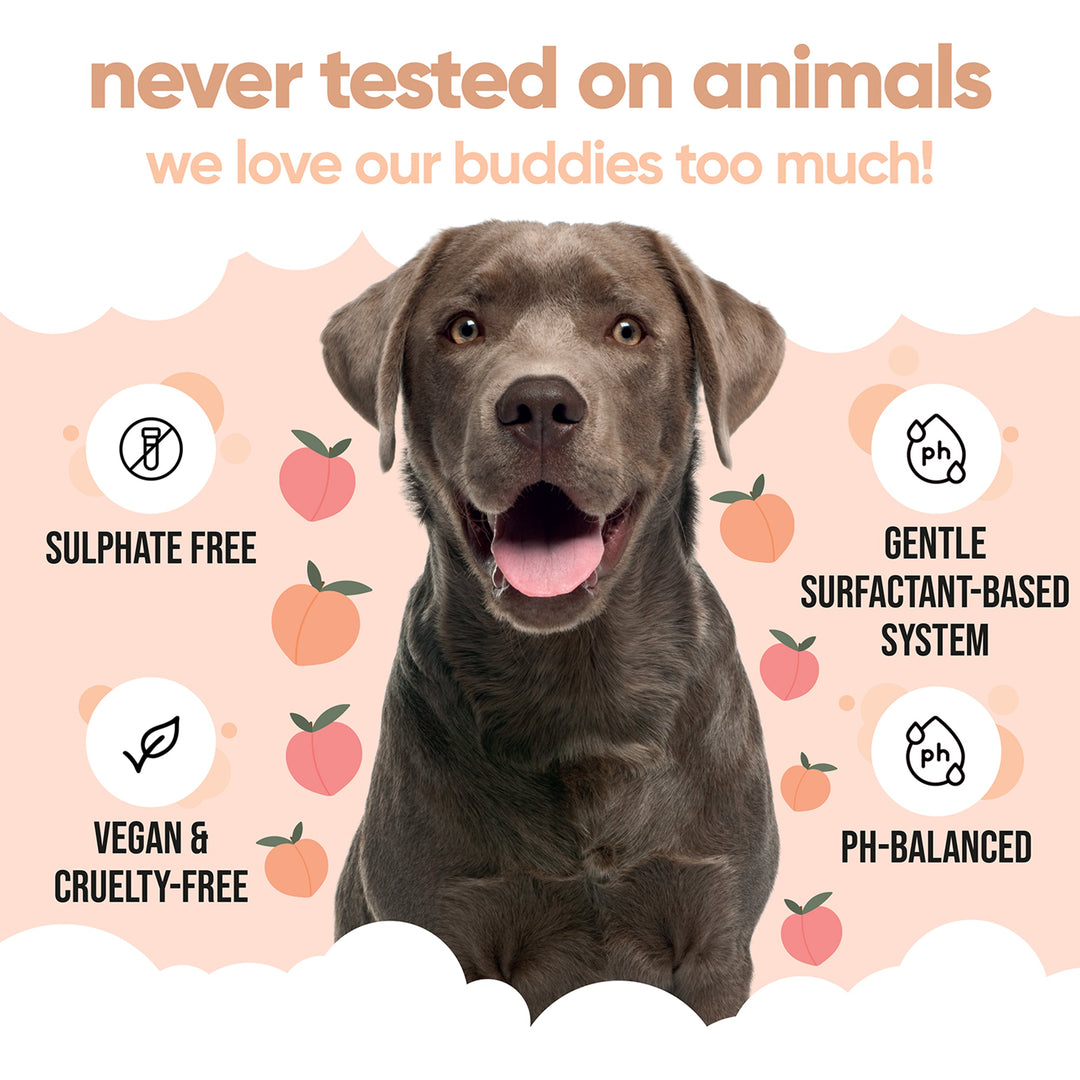 Buddycare shampoo is sulphate free, vegan, cruelty free and pH balanced
