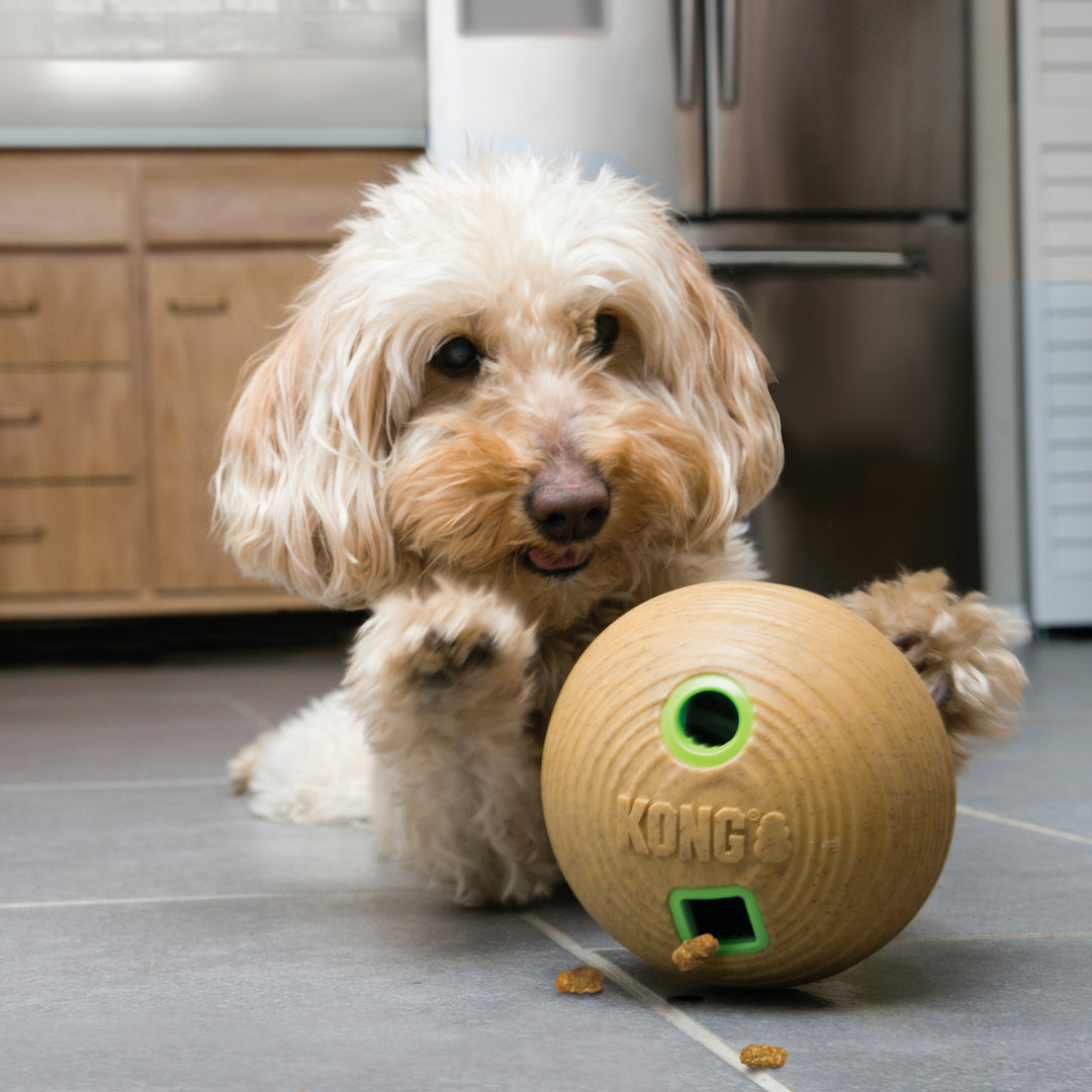 KONG  Bamboo Feeder Ball Medium