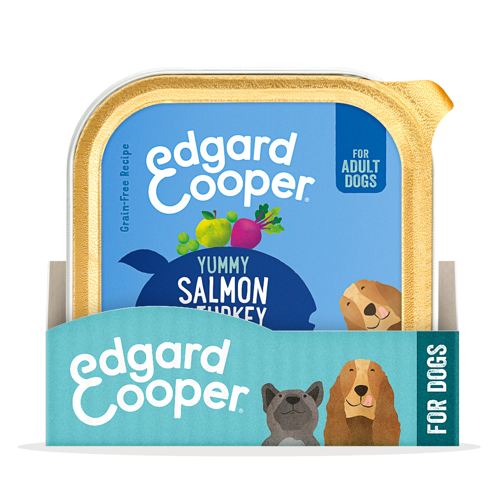 Pack_Dog_Adult_Salmon_Turkey
