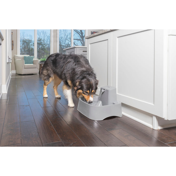 Dog drinking from the PetSafe Drinkwell 7.5 Litre Pet Fountain in a kitchen
