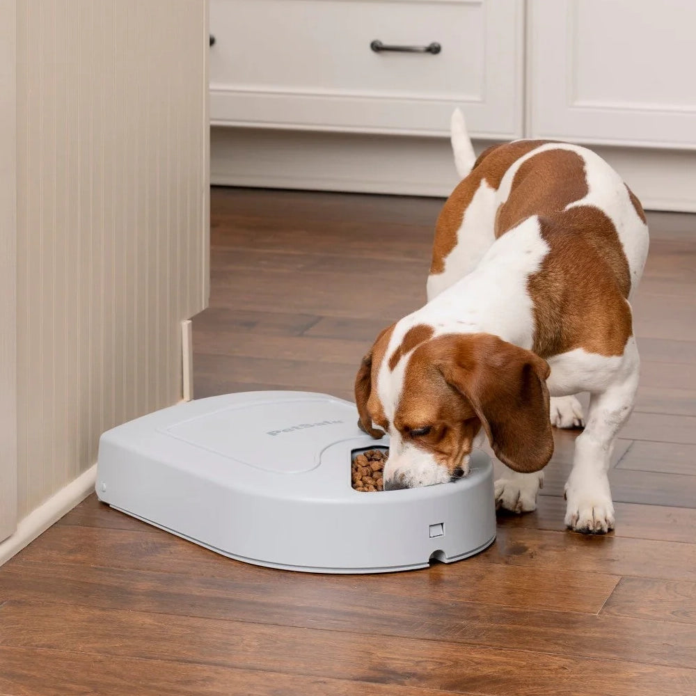 PetSafe 5-Meal Automatic Pet Feeder