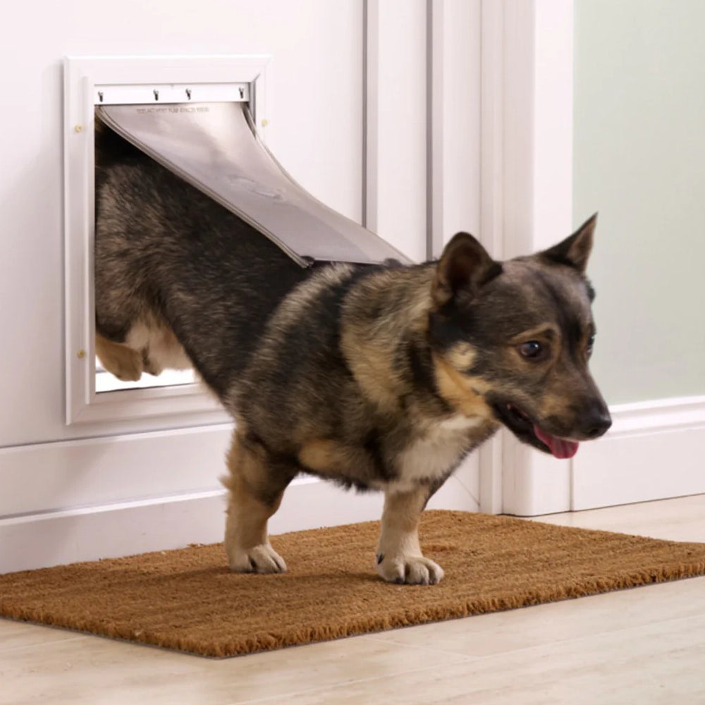 Dog using a pet door in a home setting